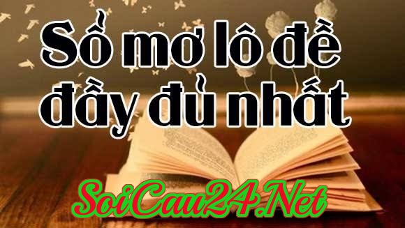 Sổ mơ lô đề đầy đủ 100 giấc mơ phổ biến nhất – Tra cứu số đề chuẩn nhất