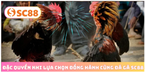 Trải nghiệm an toàn Trải nghiệm an toàn