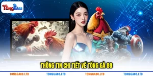 Thông tin chi tiết về TỔNG GÀ 88