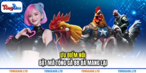 Ưu điểm nổi bật mà TỔNG GÀ 88 đã mang lại